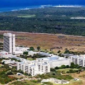 I’m Back — Not Hollywood, but Humewood! — By Rubin van Niekerk