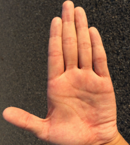 How the size of your fingers can predict if you’re gay or straight: study