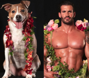 Nearly nude muscular men are helping rescue adorable dogs