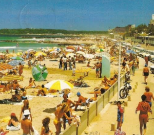My Gilded Cage And Treading Cautiously In Treacherous Territory – Chapter 24 – By Rubin Van Niekerk